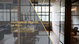 Leeres Büro mit Glaswänden und schallabsorbierendem Design